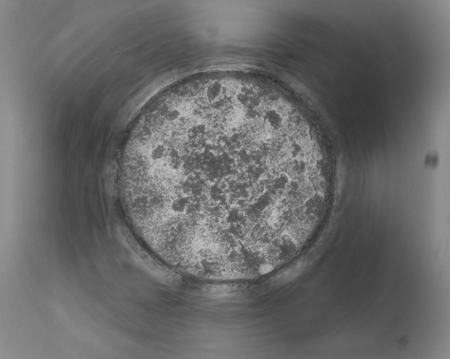 X0000110961401200907311055