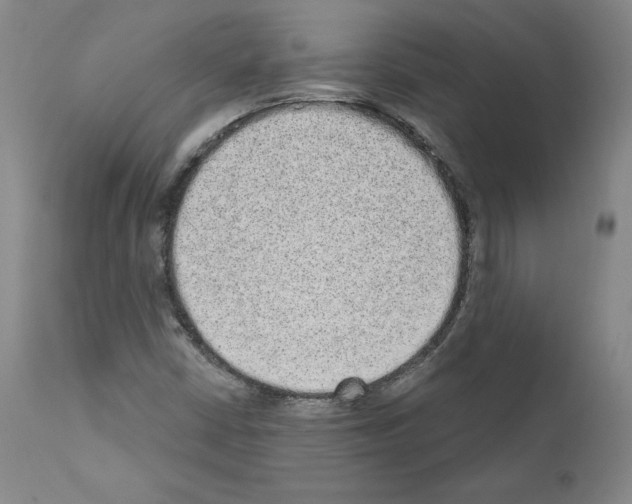 X0000110961402200907311055