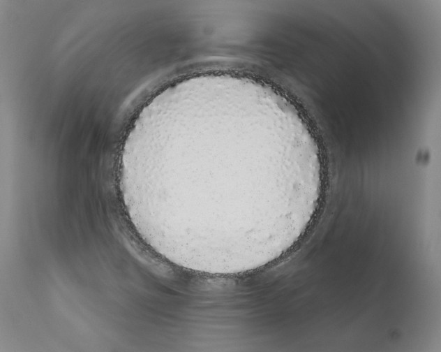 X0000110961403200907311055