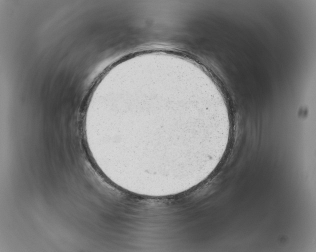 X0000110961404200907311055