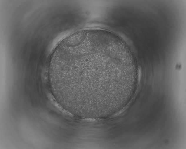 X0000110961405200907311055