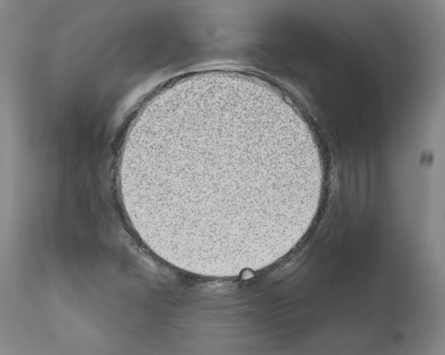 X0000110961406200907311055