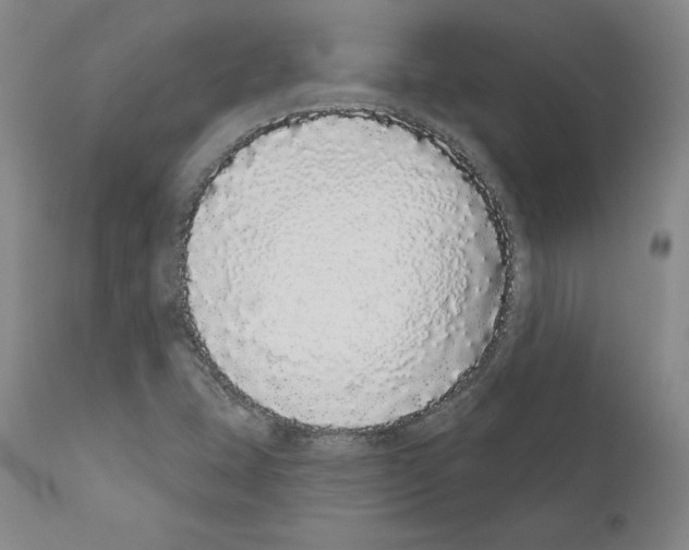 X0000110961407200907311055