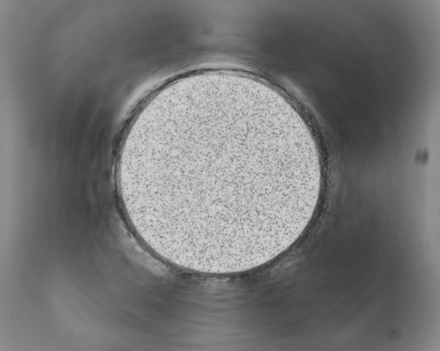 X0000110961408200907311055