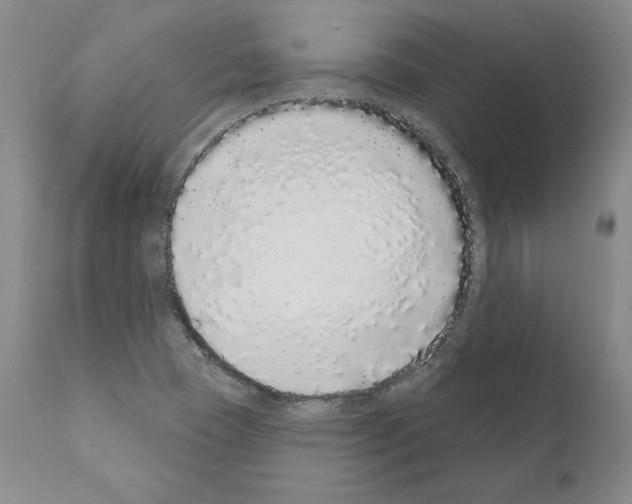 X0000110961409200907311055