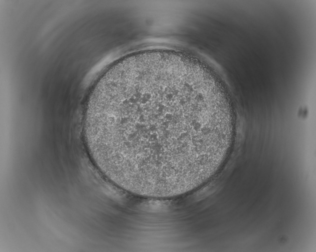 X0000110961411200907311055
