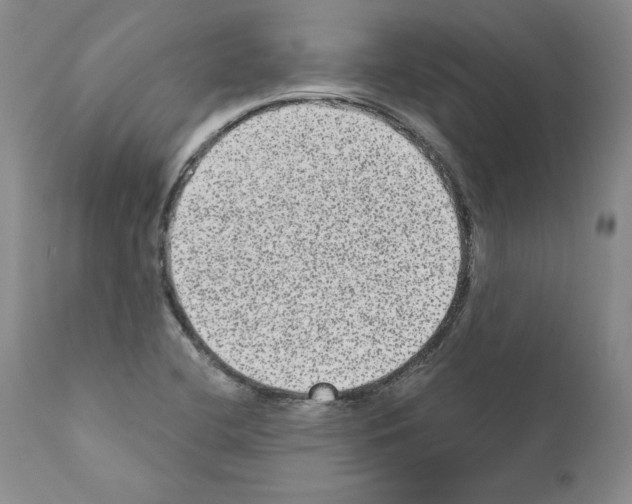 X0000110961412200907311055