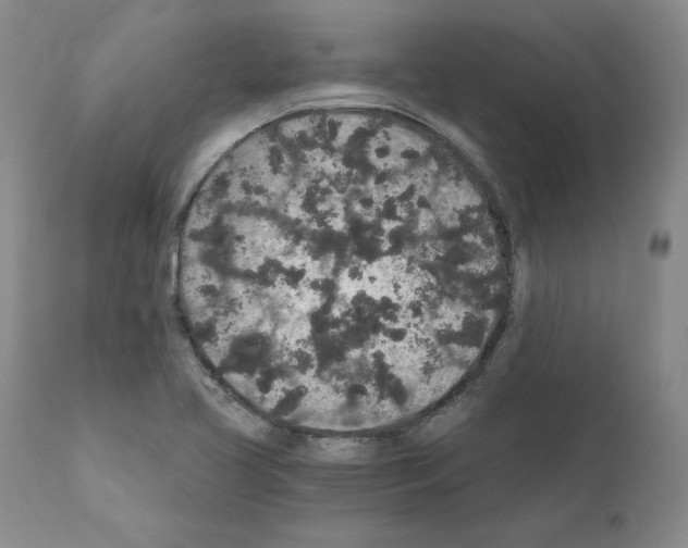 X0000110961413200907311055