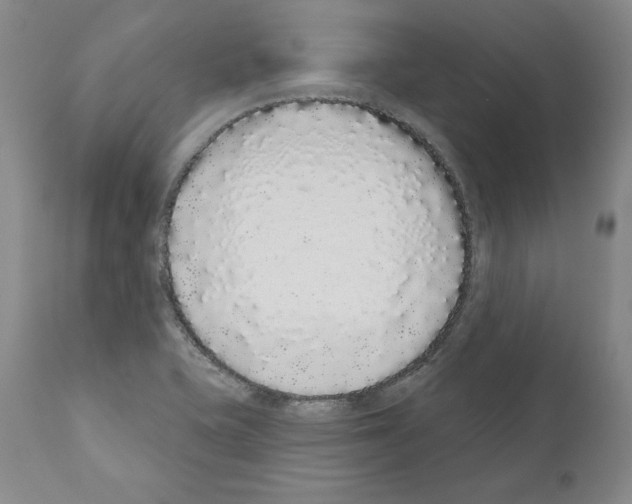 X0000110961415200907311055