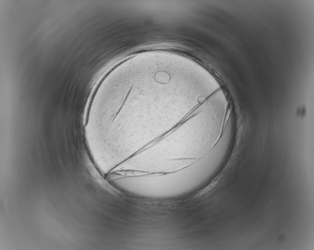 X0000110961417200907311055