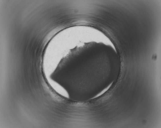 X0000110961418200907311055