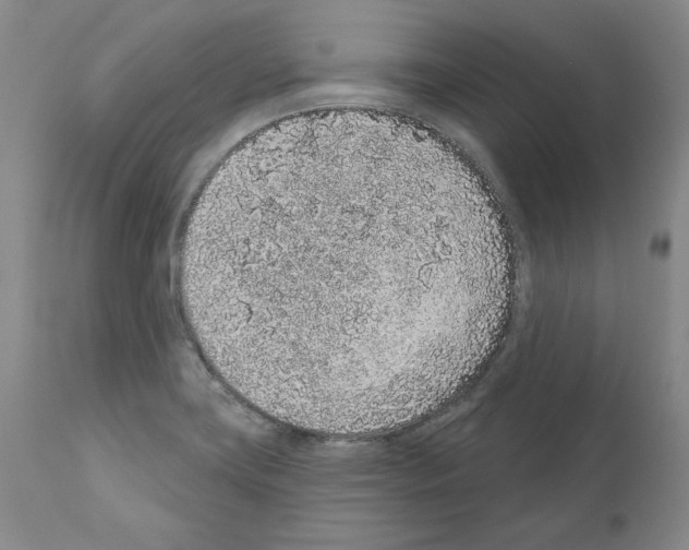 X0000110961419200907311055