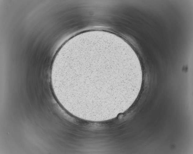 X0000110961420200907311055