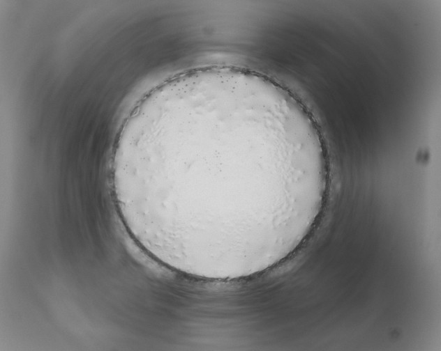 X0000110961421200907311055