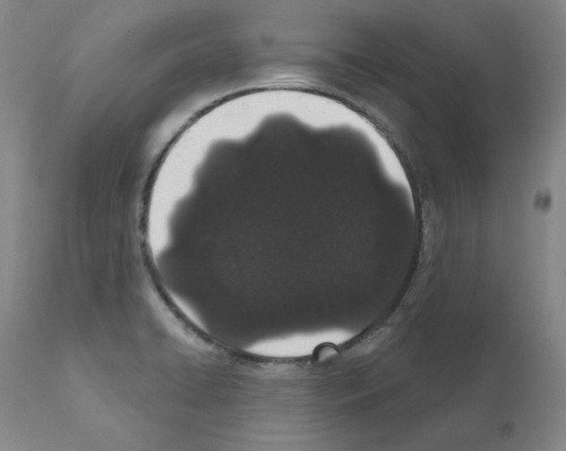 X0000110961422200907311055
