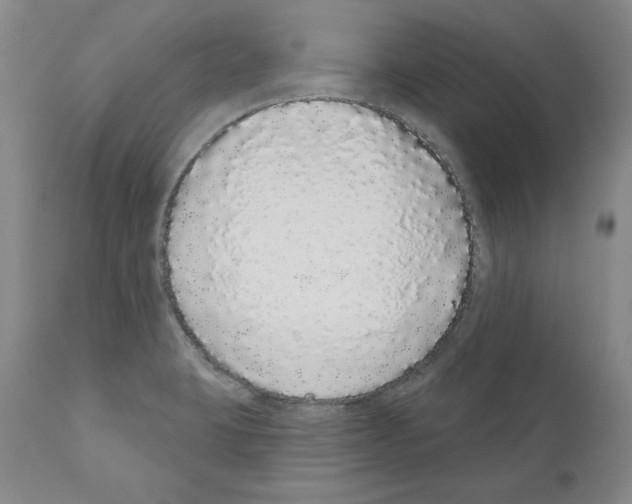 X0000110961423200907311055