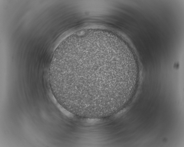 X0000110961425200907311055