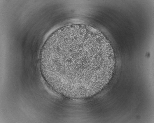 X0000110961427200907311055