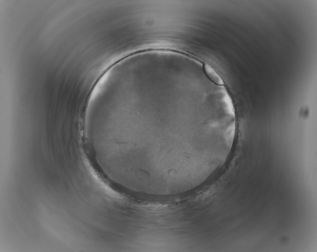 X0000110961428200907311055
