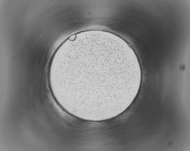 X0000110961430200907311055
