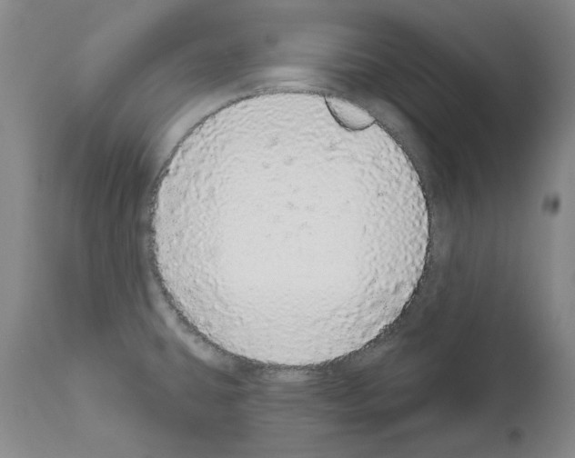 X0000110961431200907311055