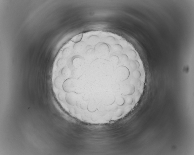 X0000110961432200907311055