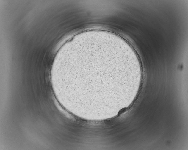 X0000110961433200907311055