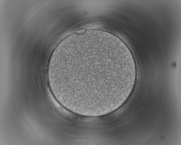 X0000110961434200907311055