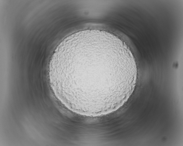X0000110961435200907311055
