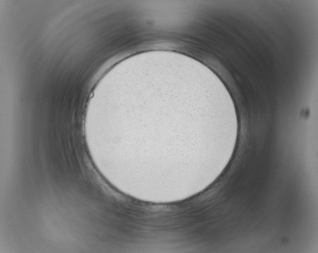 X0000110961436200907311055