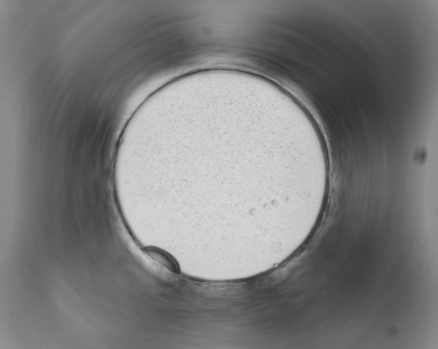 X0000110961437200907311056