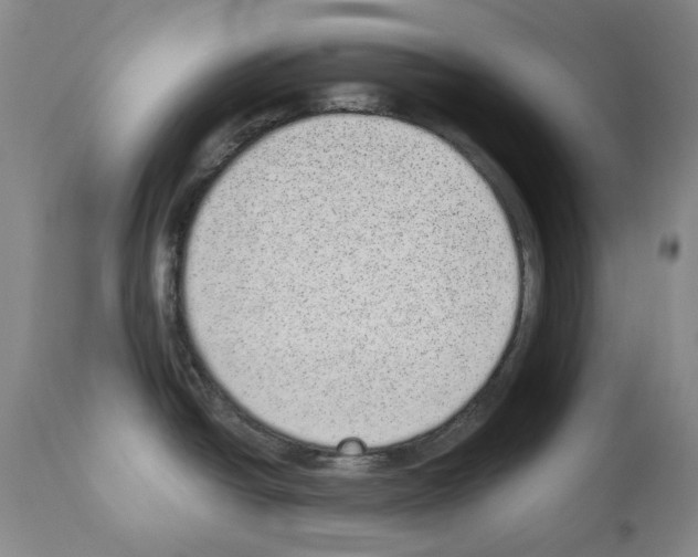 X0000110961438200907311056
