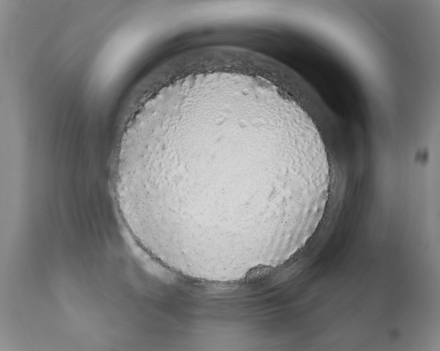 X0000110961439200907311056