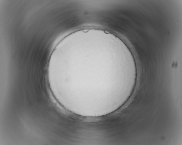 X0000110961440200907311056
