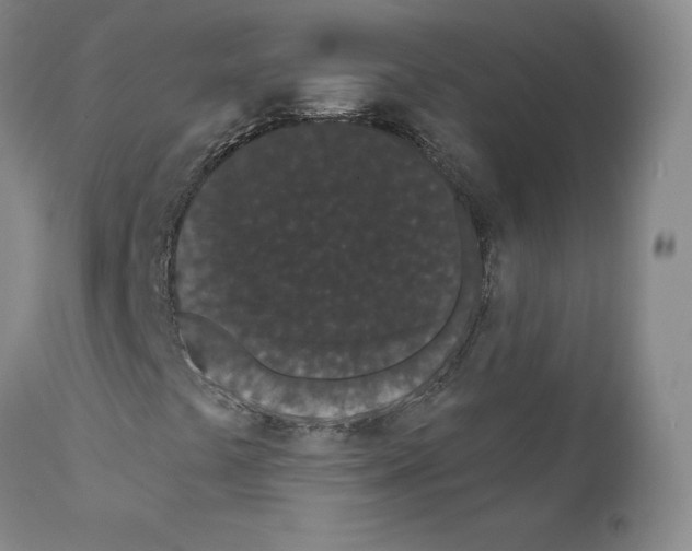 X0000110961441200907311055