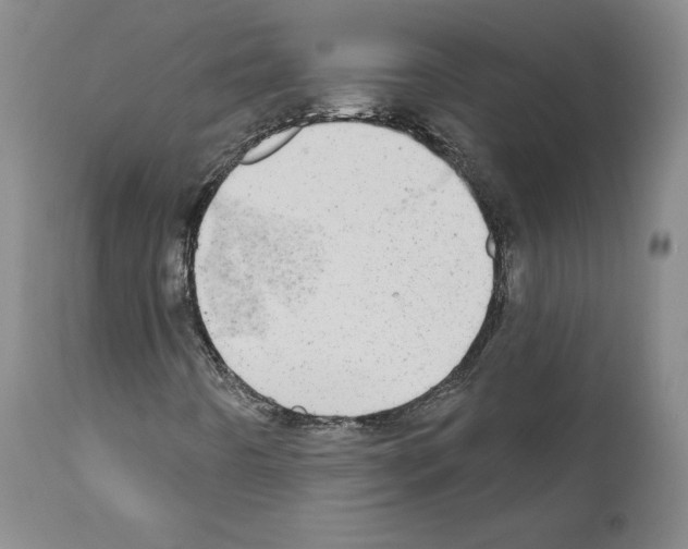 X0000110961442200907311055