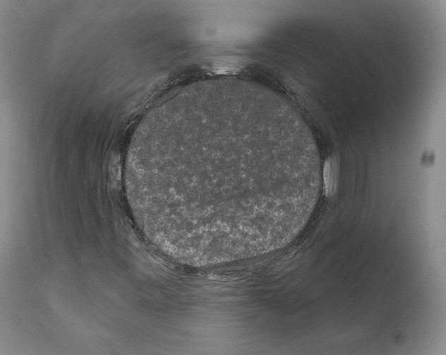 X0000110961443200907311055