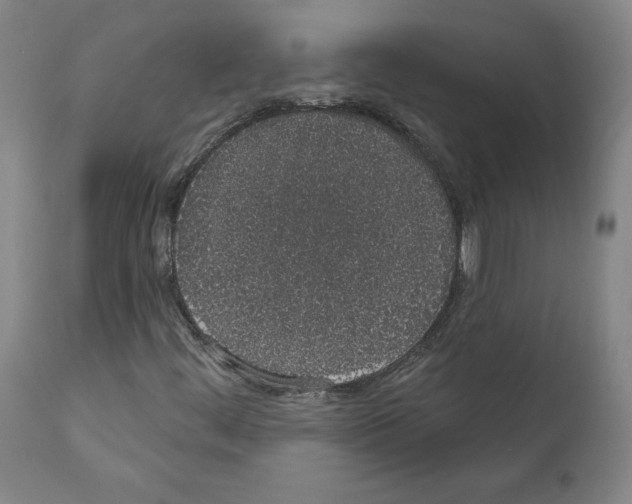 X0000110961444200907311055