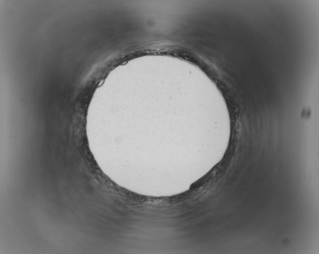 X0000110961447200907311055