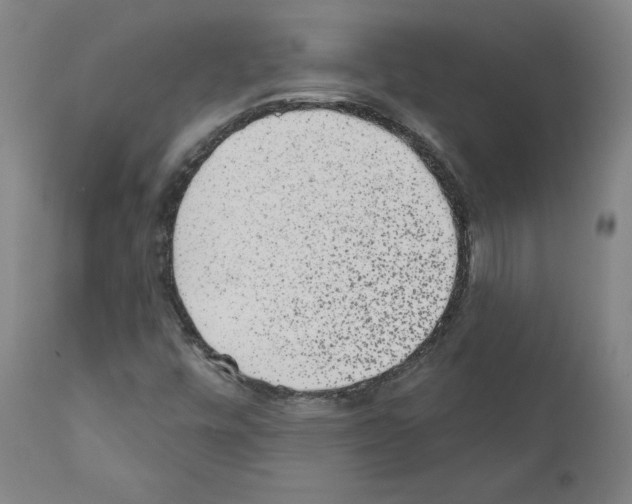 X0000110961448200907311055