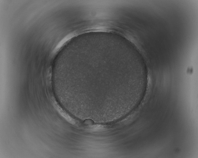 X0000110961450200907311055