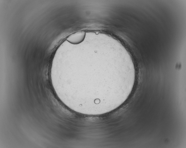 X0000110961451200907311055