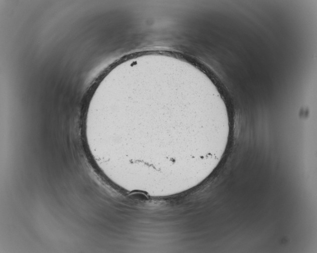 X0000110961452200907311055