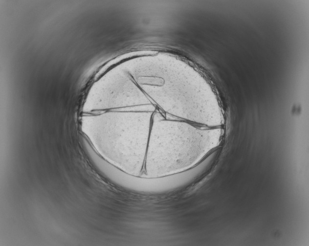 X0000110961453200907311055