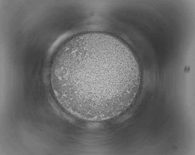 X0000110961454200907311055