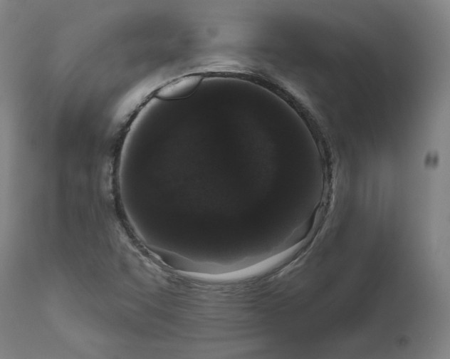 X0000110961455200907311055
