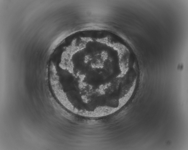 X0000110961459200907311055