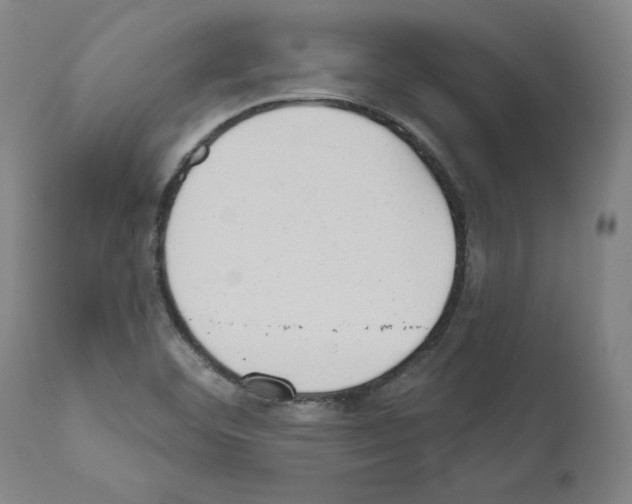 X0000110961460200907311055