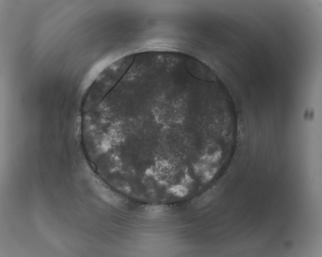 X0000110961461200907311055
