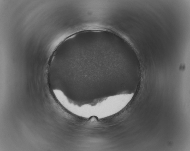 X0000110961463200907311055